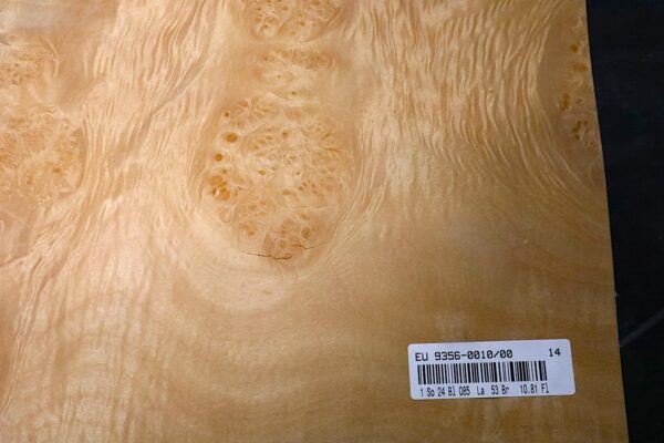 TRANCIATO RADICA MAPLE
